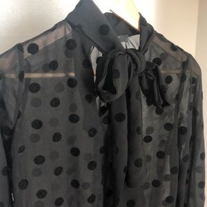 Polka dot sheer blouse